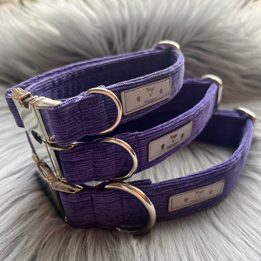 Purple Corduroy Dog Collars