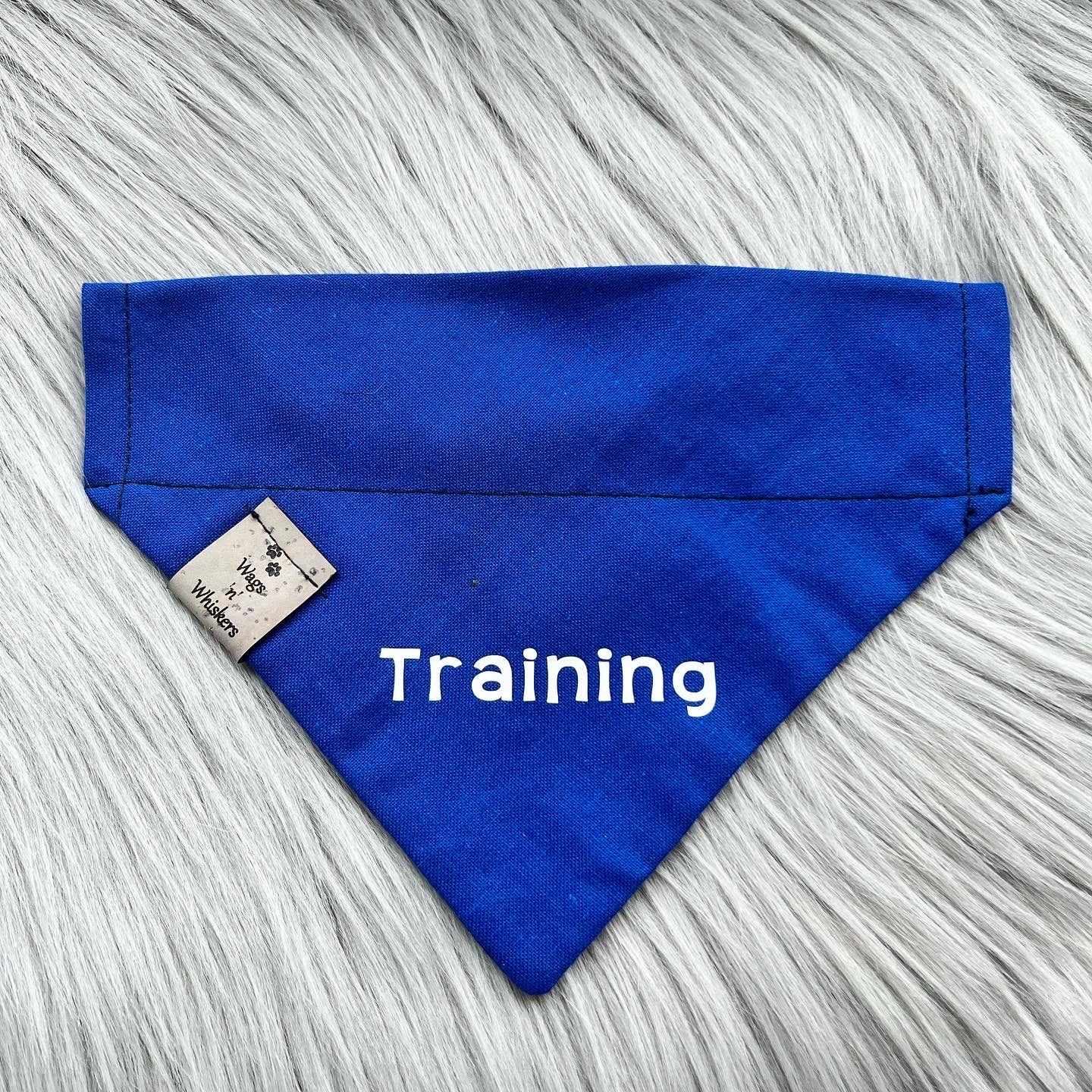 Training Behaviour Bandana