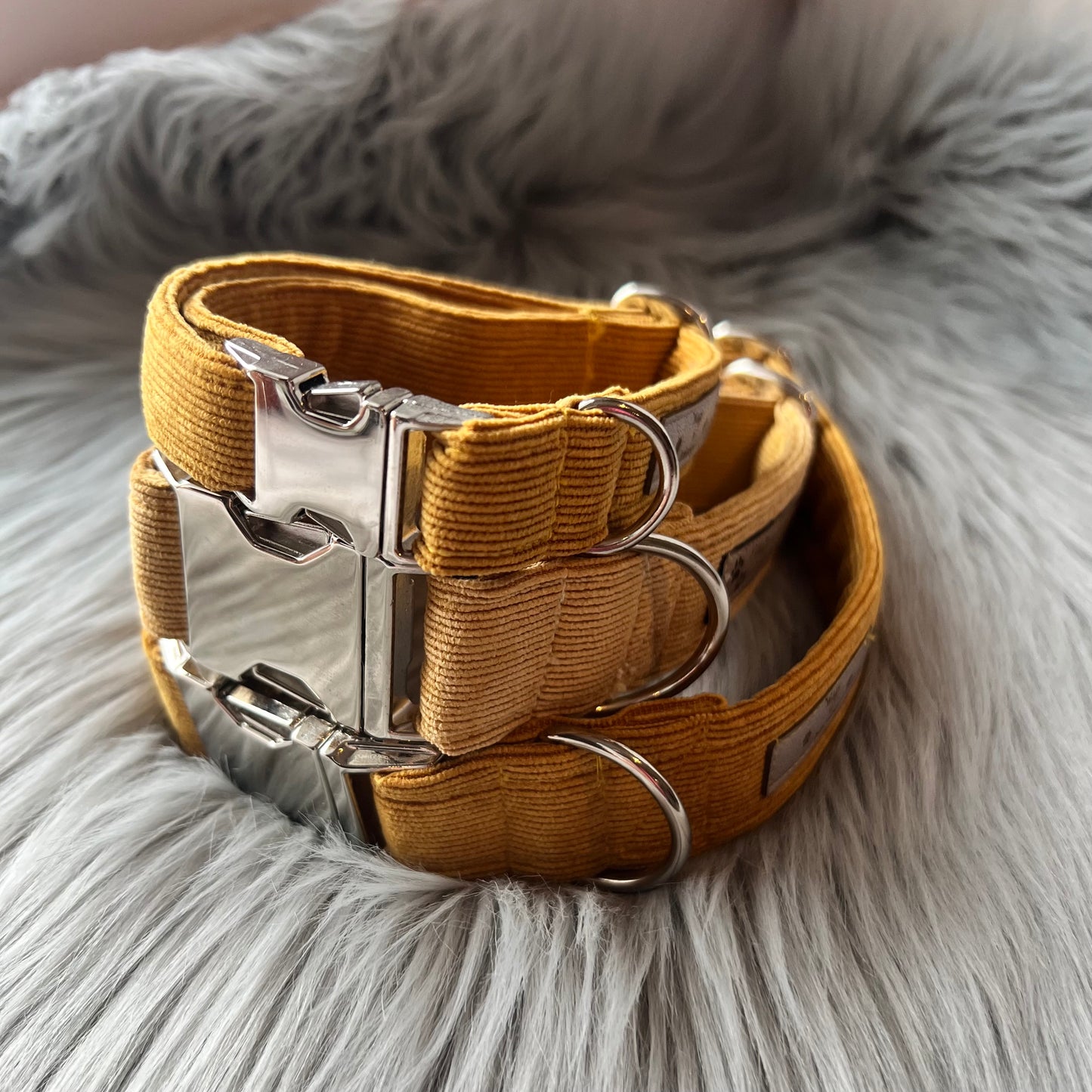 Mustard Corduroy Dog Collars