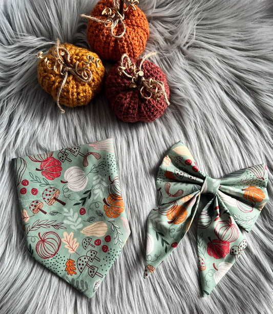 Autumn Pumpkins Bandanas & Bow