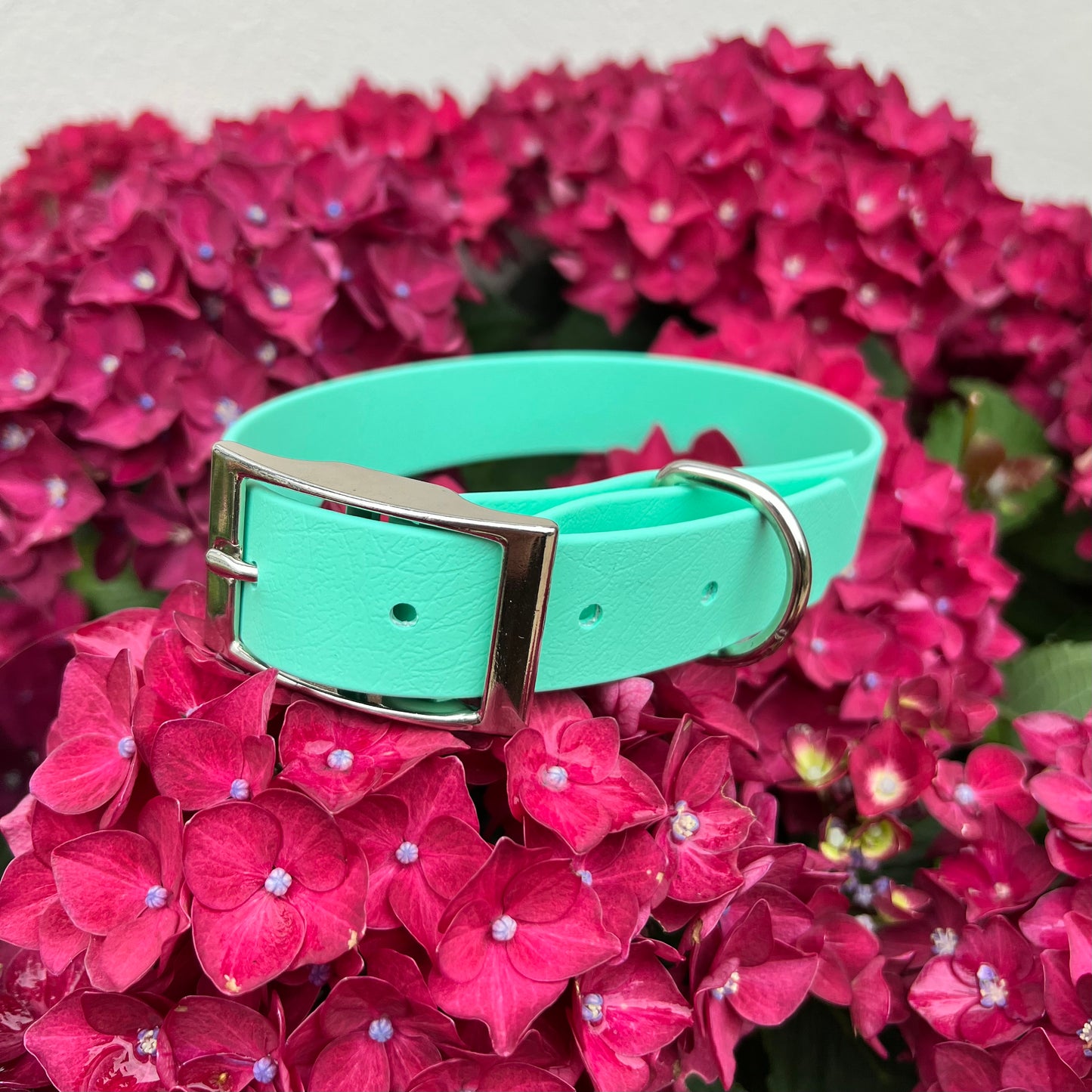 Mint Waterproof Collars