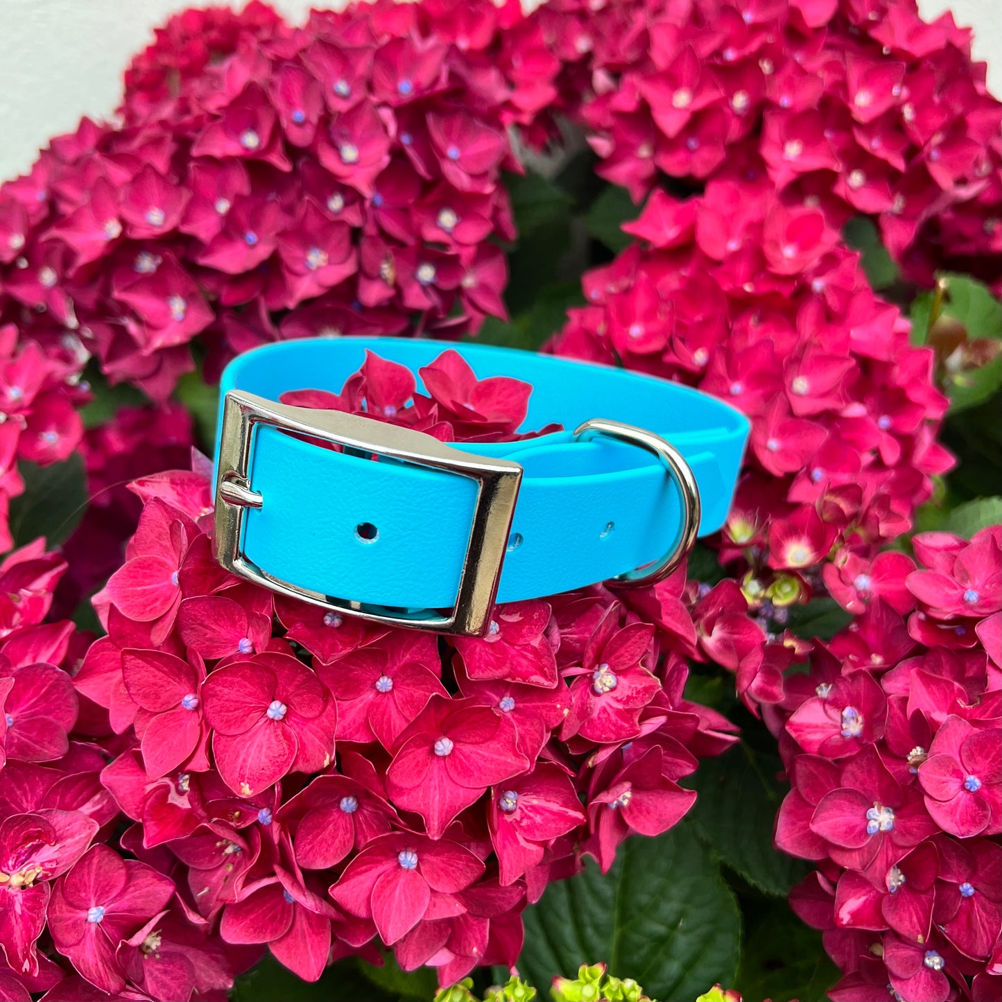 Sky Blue Waterproof Collars