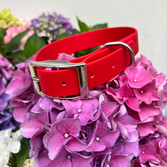 Red Waterproof Collars