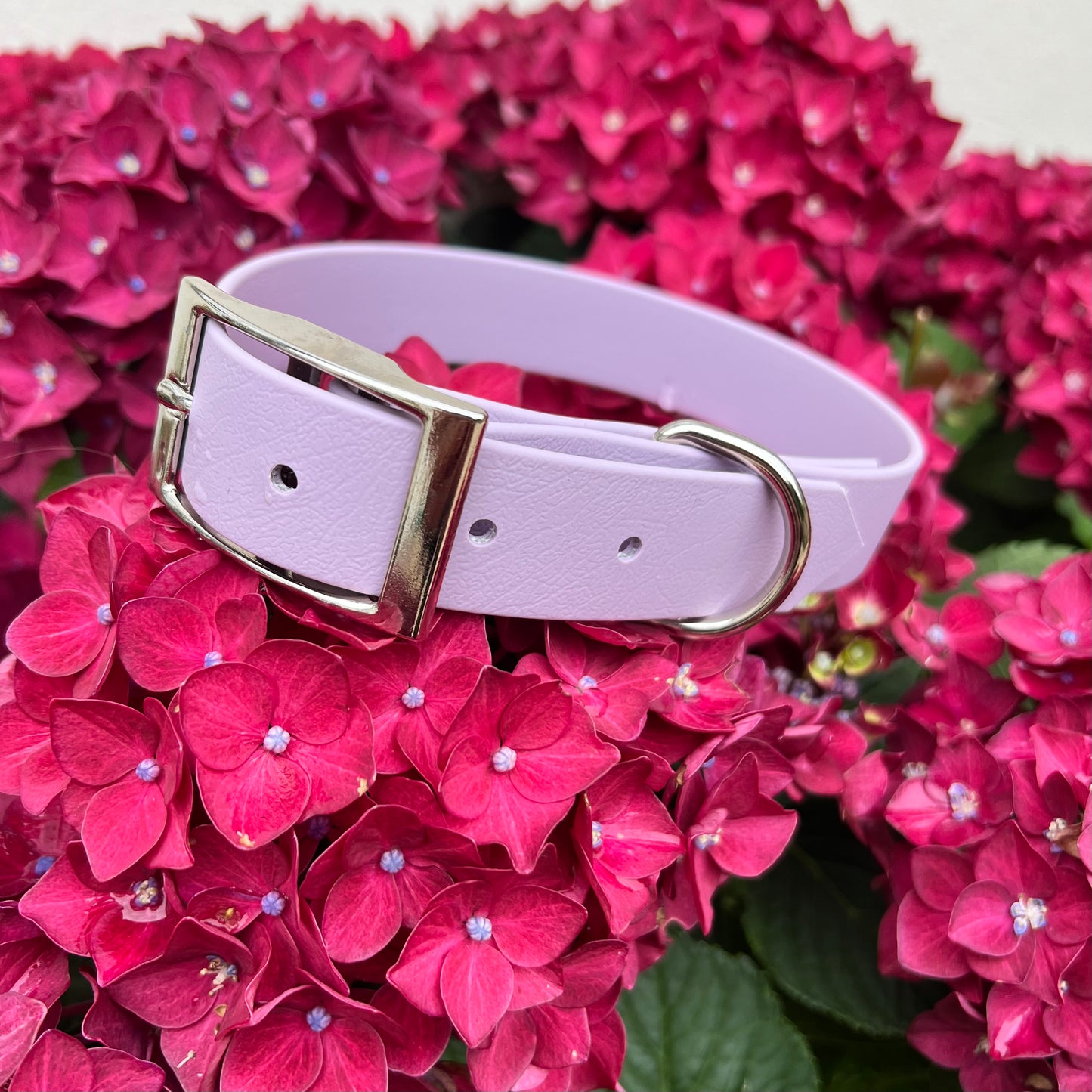 Lilac Waterproof Collars