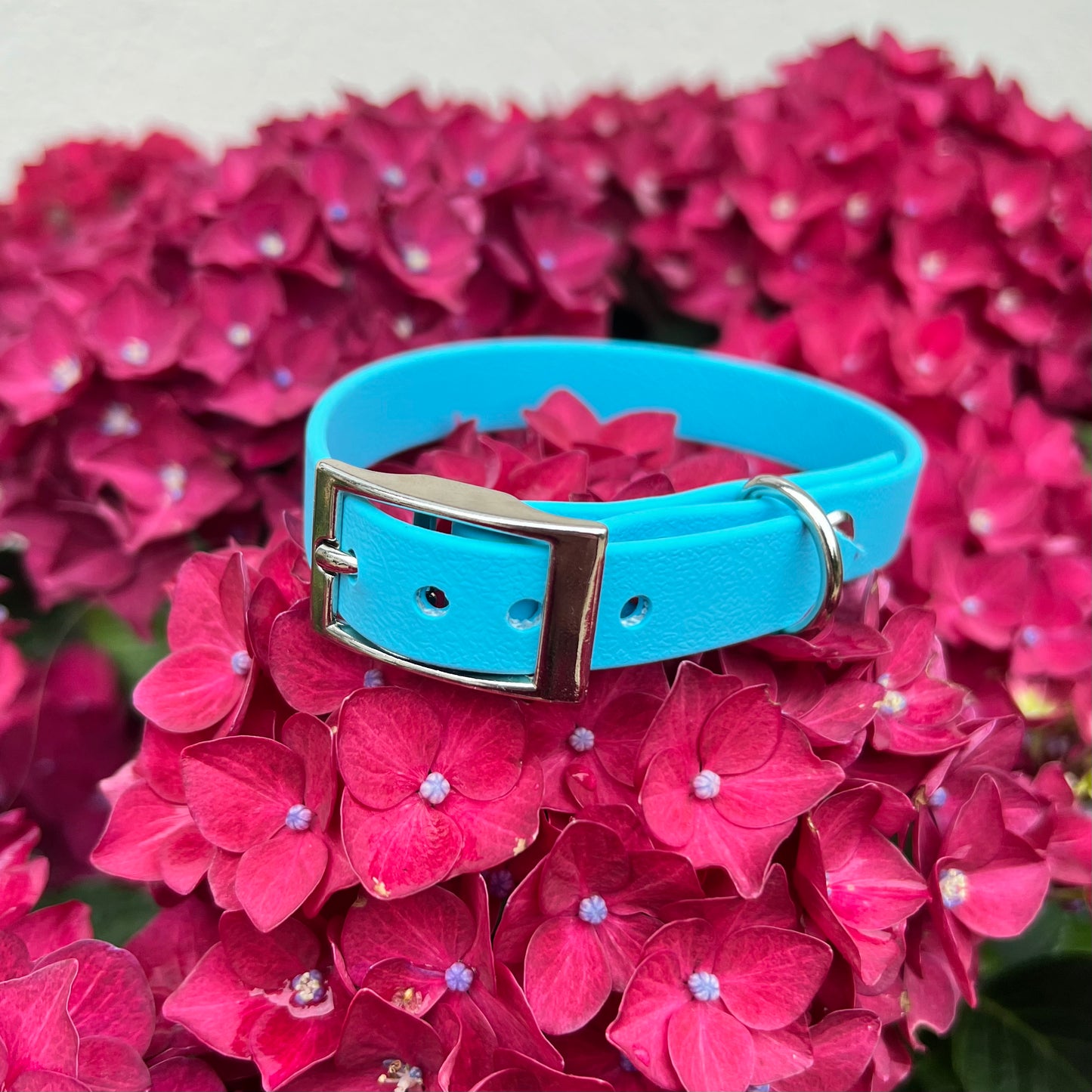 Sky Blue Waterproof Collars