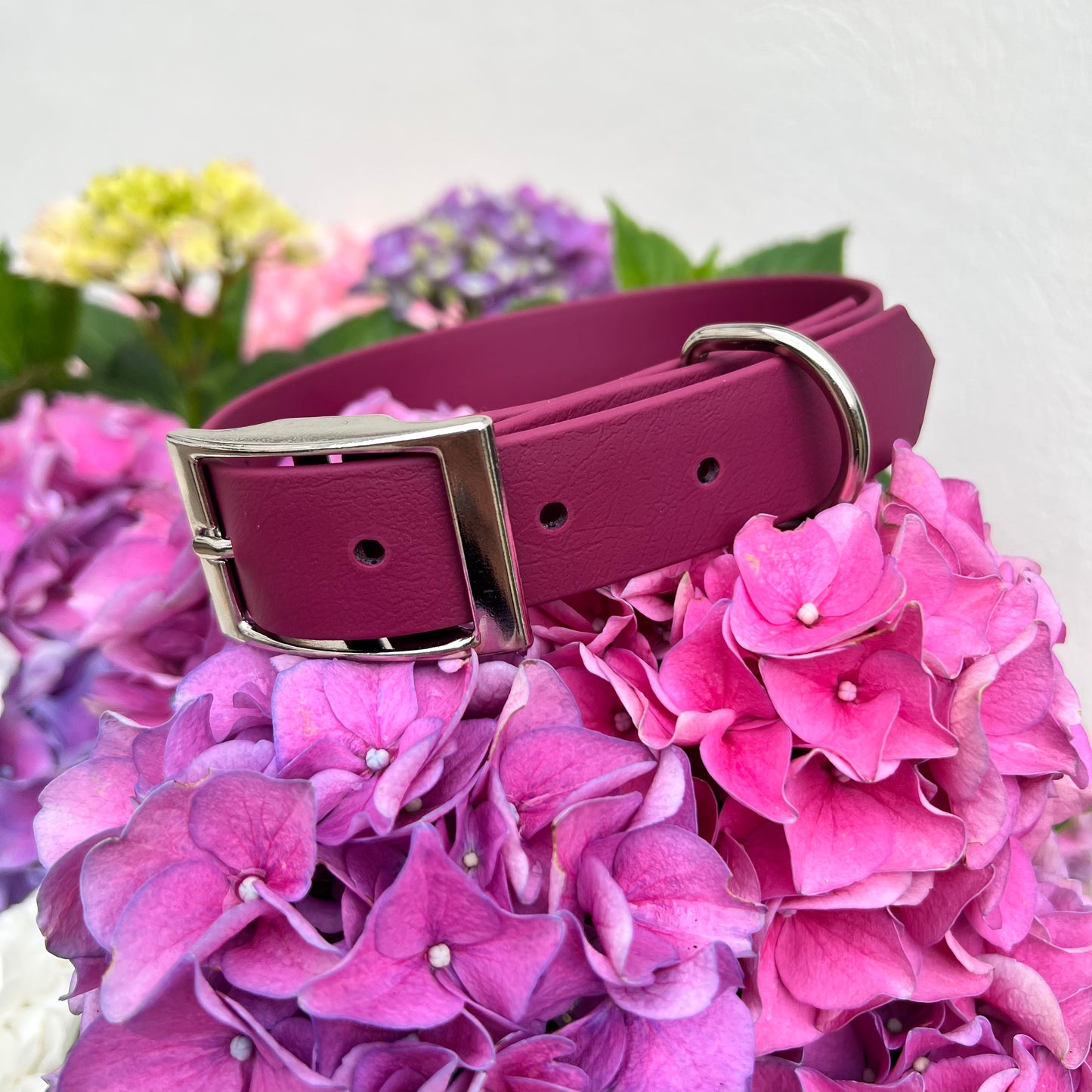 Burgundy Waterproof Collars