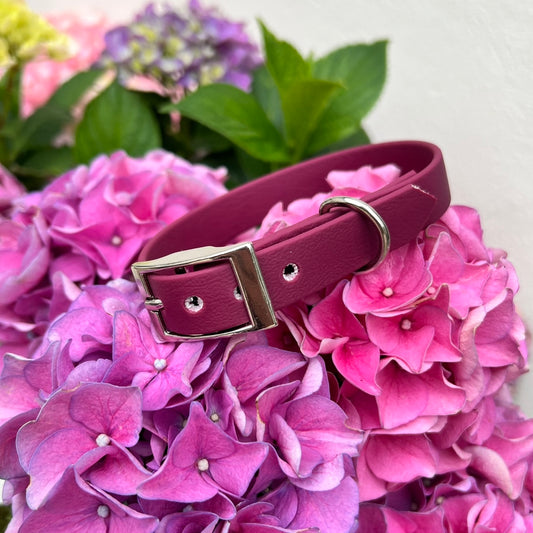 Burgundy Waterproof Collars