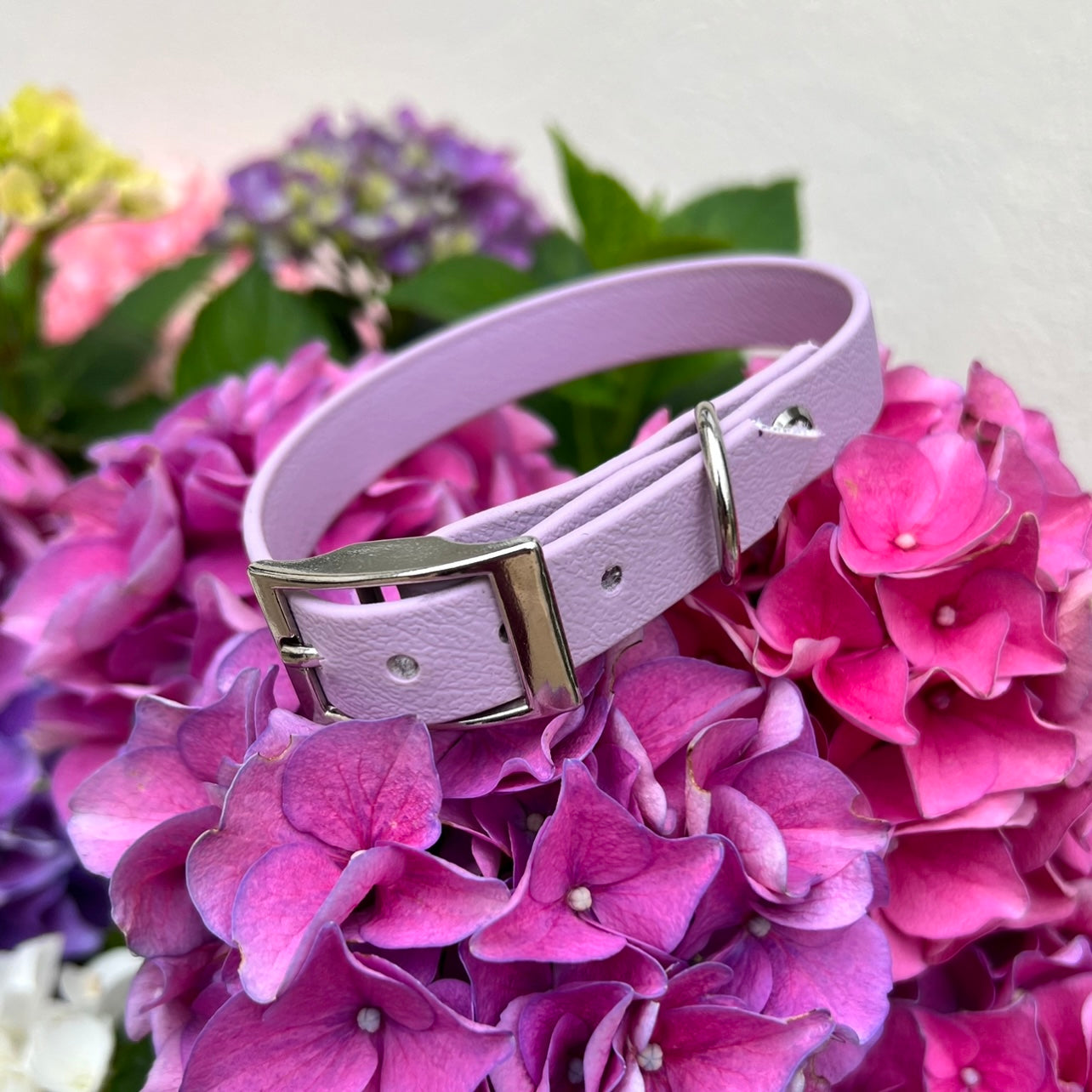 Lilac Waterproof Collars