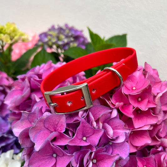 Red Waterproof Collars