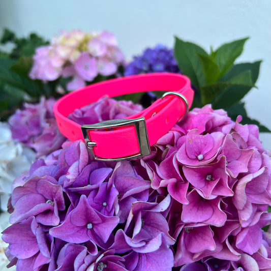 Hot Pink Waterproof Collars