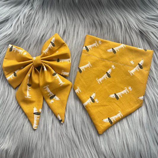 Sausage Dogs Bandanas and Bows